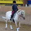 Dressur-Lehrgang am 30./31.01.